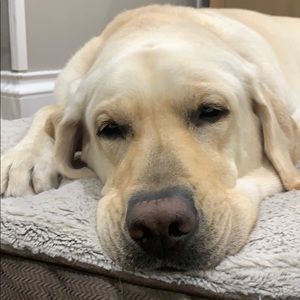 Meet your Posher, Chris